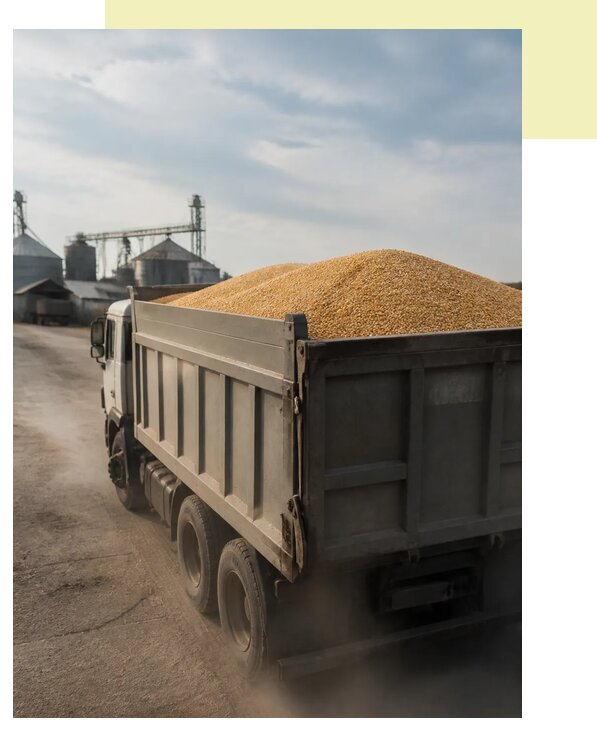Перевозка сельхозпродукции навалом в Раменское по цене от 3042 р. | Агросервис-Рмн