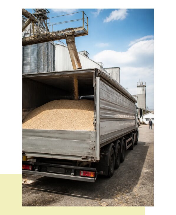 Перевозка овса в Раменское с гарантией сохранности груза