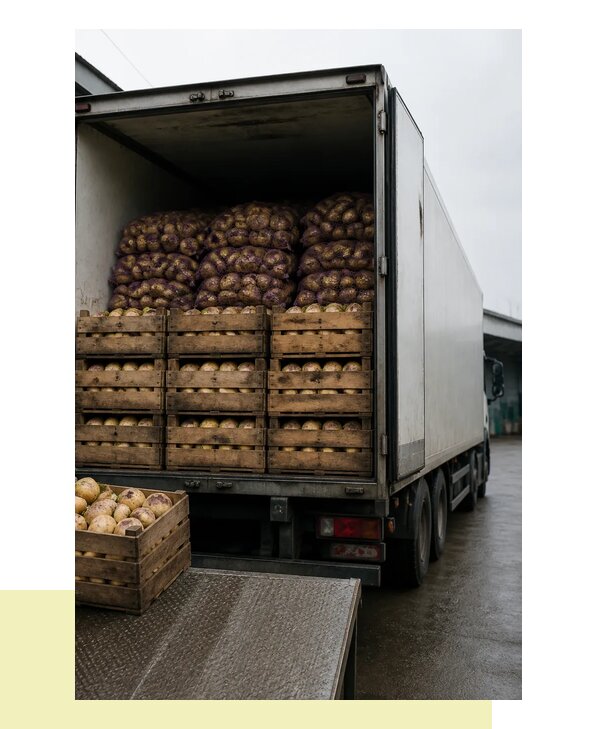 Перевозка репы в Раменское с гарантией сохранности урожая